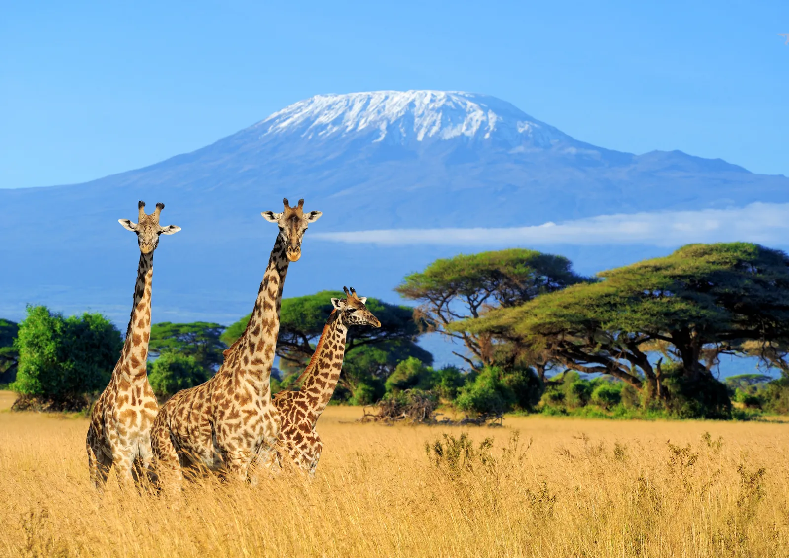 Sights of Tanzania