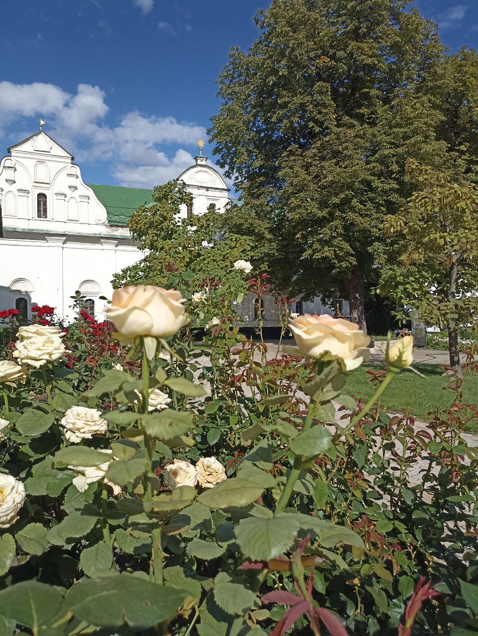 Ukraine, Kyiv, Скарбниця Національного музею історії України